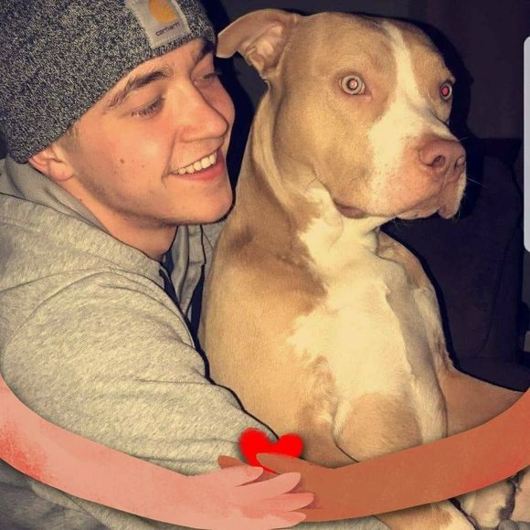 Meet your Posher, Alexander - Picture 1 of 1